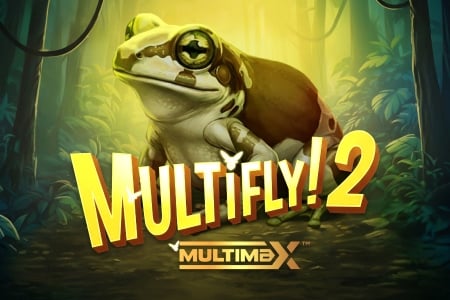 Multifly! 2 MultiMax